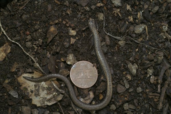 les erreurs à éviter lors de la comparaison des offres de crédit immobilier